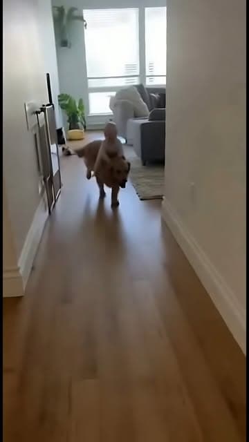 Speed run went wrong but the recovery was elite 😆 (AI generated) #ai #sora #aivideo #baby #dog #adorable #funnyreels #cute #reels