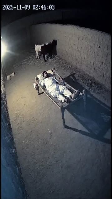 👹👿Who Could It Be….????😈👻👹
The air in Baleghat village, Bihar, was thick with the smell of damp earth and an ancient, forgotten fear. Every farmer knew the legend of the ‘Shadow Baa’—a phantom creature that haunted the night of Kartik Purnima. Ramu, exhausted from the harvest, scoffed. He decided to sleep right beside his livestock, a challenge to the old tale.
At 2:46 AM, the stillness shattered. It wasn’t the wind, nor a wild animal. A shadow, heavy and cold, descended. The security camera cap